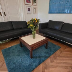 2 Easy Sofa FM-474 DeSede/FSM, Dunkelgraues Leder