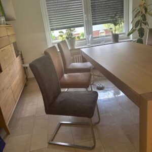 Esstisch massiv Holz + 6 Freischwinger