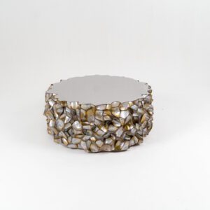 Designer Radika Brownlip Mother of Pearl sea shell Coffee Table