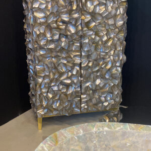 Designer furniture Collection Radika Brownlip Mother of Pearl sea shell Cabinet