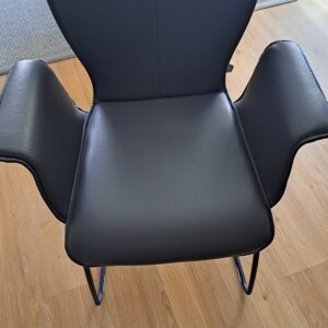 2 Stück Stuhl "Blake-Schlitten"