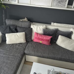 Ecksofa/Schlaf Couch