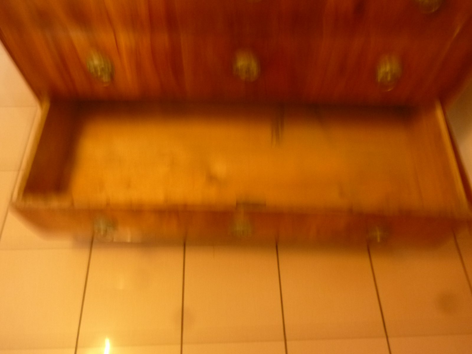 P1010199